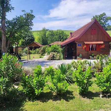 Pod Orehom Drvena Kuca I Sauna Hotel Krapina Exterior foto