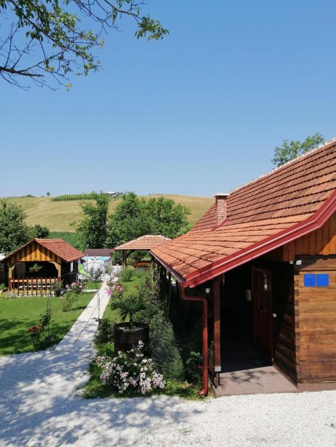 Pod Orehom Drvena Kuca I Sauna Hotel Krapina Exterior foto