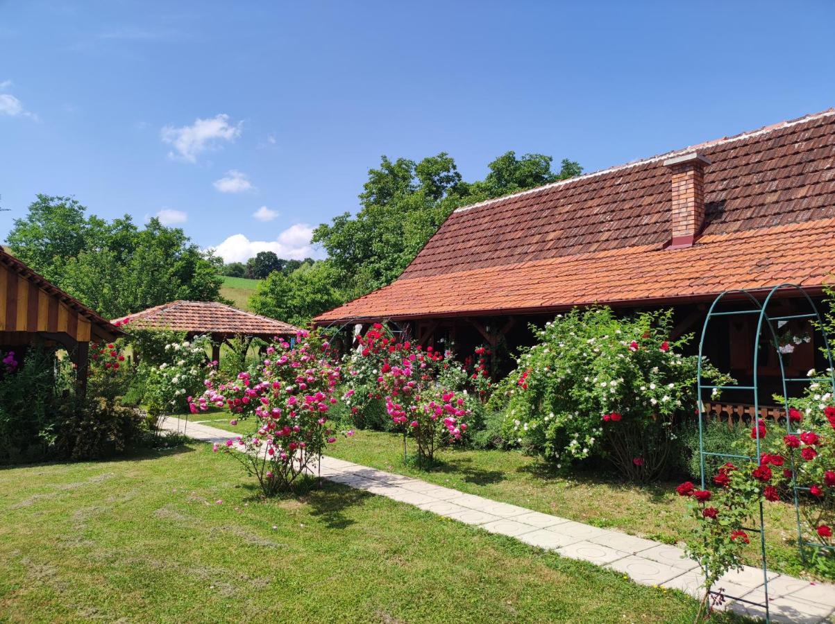 Pod Orehom Drvena Kuca I Sauna Hotel Krapina Exterior foto