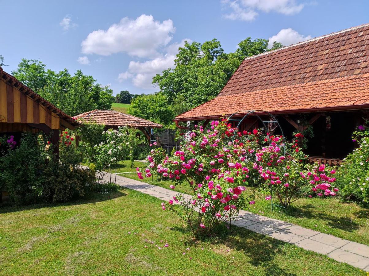 Pod Orehom Drvena Kuca I Sauna Krapina Exterior foto