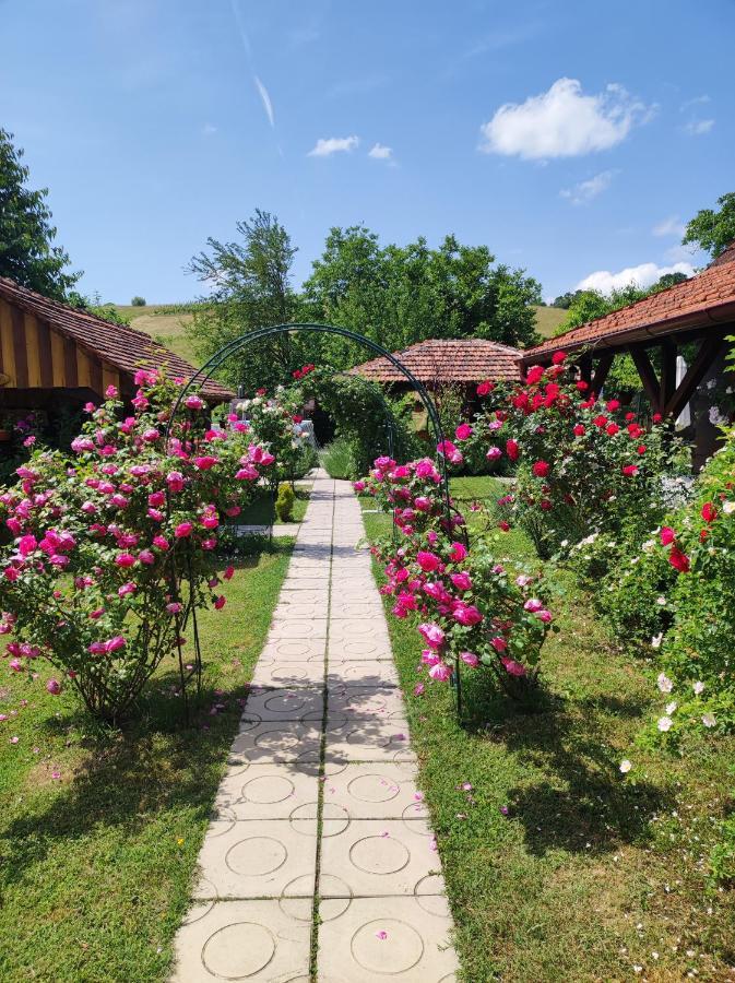 Pod Orehom Drvena Kuca I Sauna Hotel Krapina Exterior foto